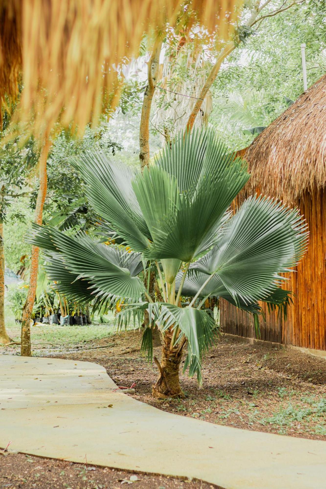 Mayan Playa Bacalar Exteriér fotografie